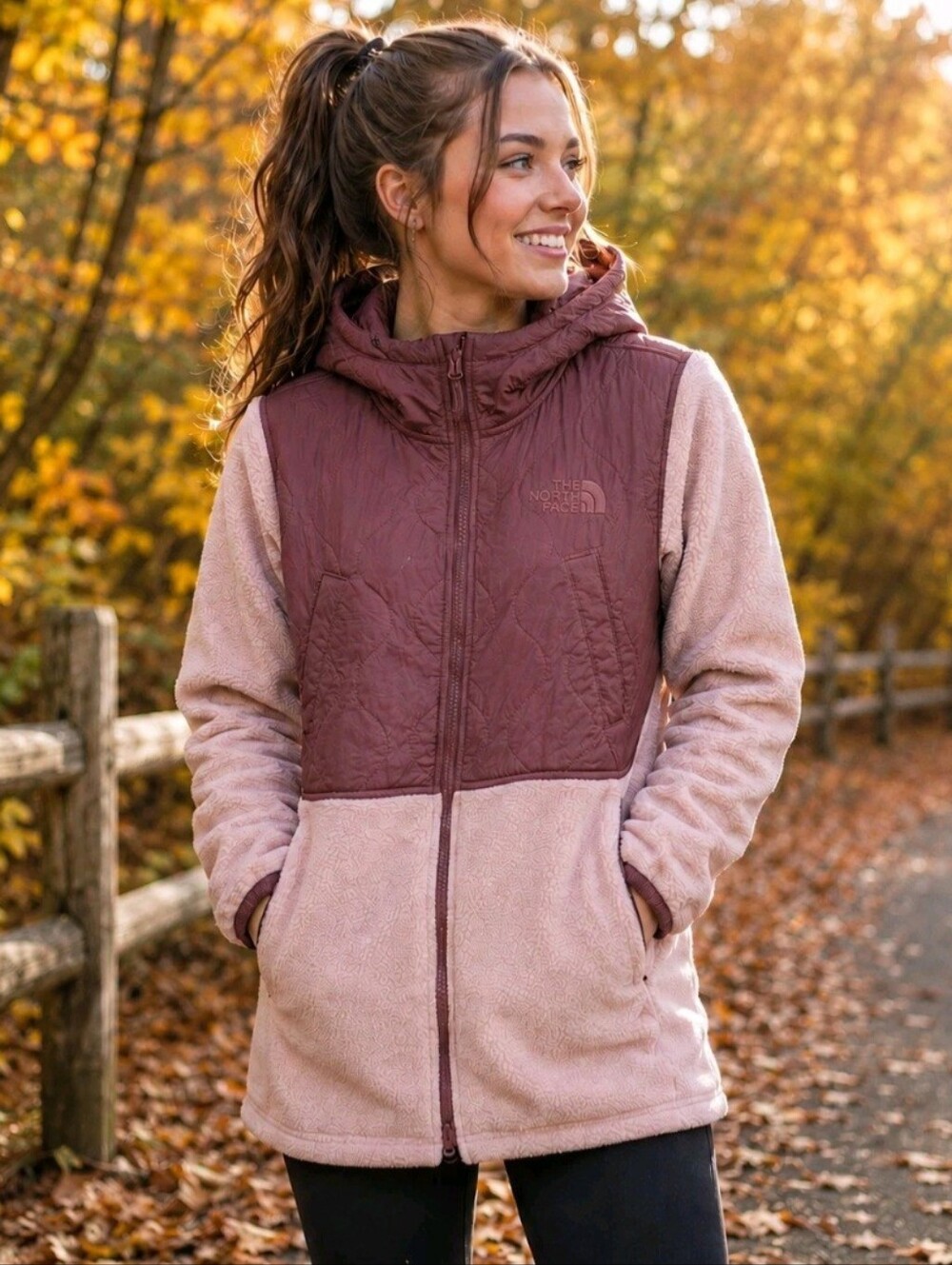 The North Face Jacket Large Royal Arch Parka Sherpa Fleece Quilted Hood Hiking